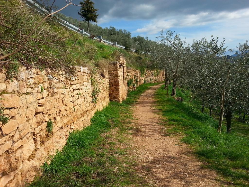 Residence Terra Dei Santi Country House Spello Exterior foto