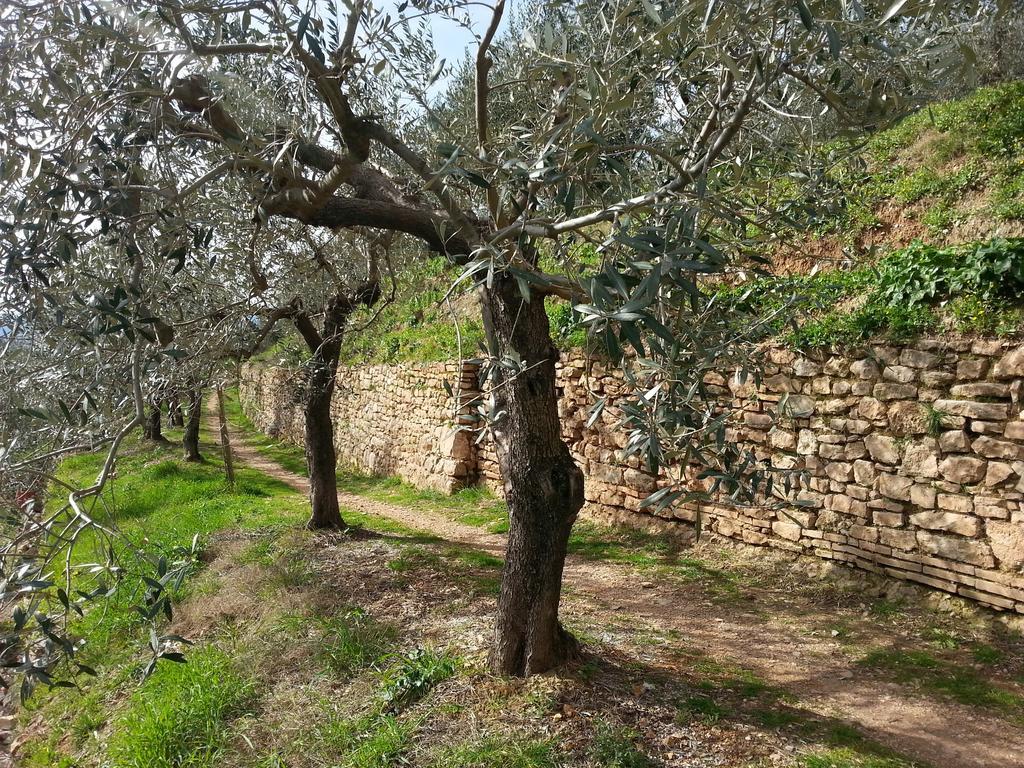 Residence Terra Dei Santi Country House Spello Exterior foto